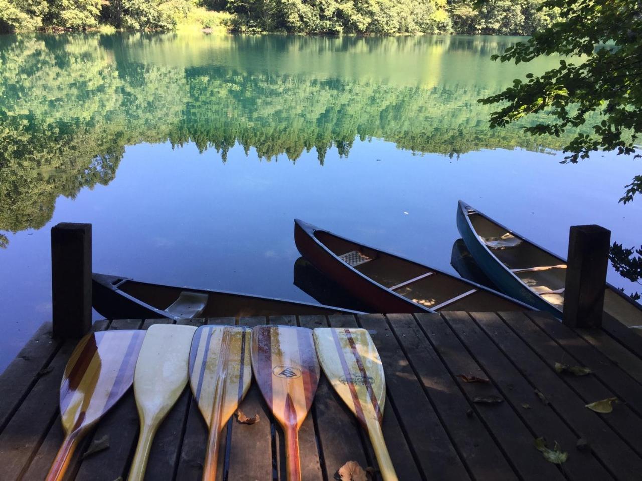 Hakuba Vivaldi Hotell Exteriör bild